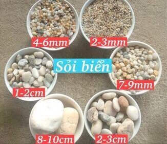Đá Sỏi Biển 